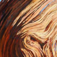 oil painting of Bristlecone Pine